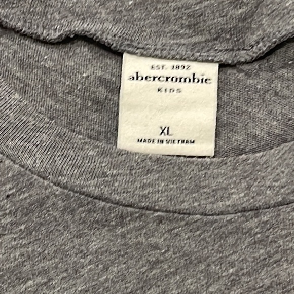 Abercrombie Kids Gray T- Boys XL - Picture 2 of 4